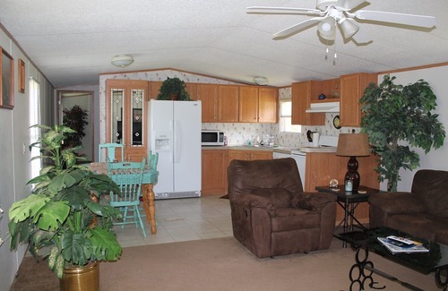 Black Cabin | Vacation in the beautiful ozarks, horse back riding, fishing, floating