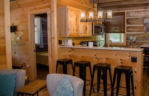 Cherry Creek Cabin | Valley View A and B - Rustic Log Cabin