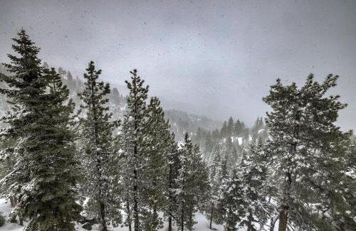 Tahoe Village House | Valley View - Carson Valley Views