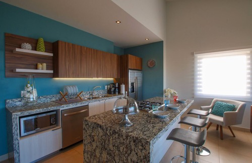 Emiliano Zapata Condo | Vaulted Ceiling Penthouse at Zenith in Romantic Zone | Pool, Gym, BBQ