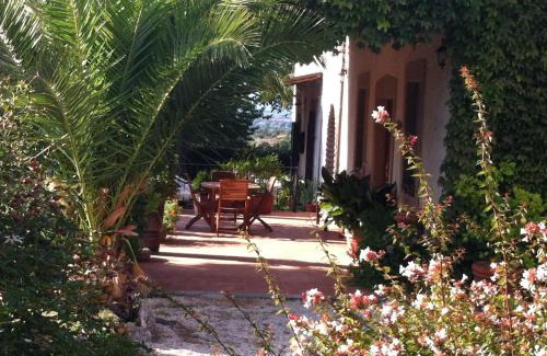 Viterbo Bed & Breakfast | Vecchio olmo