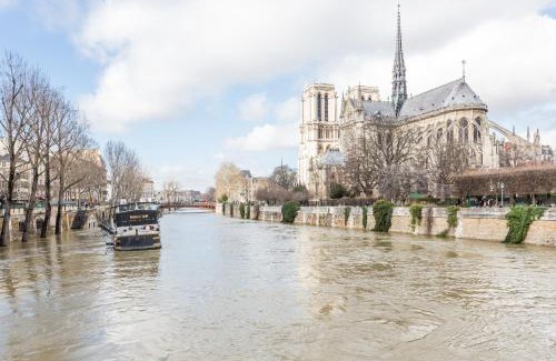 Les Iles Apartment | Veeve - Overlooking the Seine on Ile de la Cité