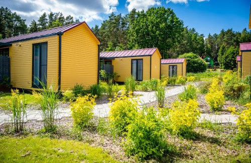Wilimy Cabin | Velo Camp nad jeziorem Dadaj