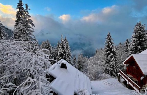 Oz Ski Chalet | Vendu non disponible à la location en attente de suppression