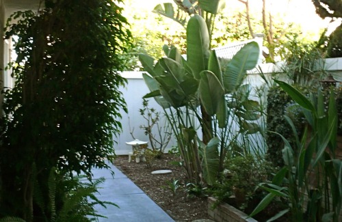 Pierpont Bay House | Ventura Beach Retreat - Excellent Value! 2 bedroom with garden and patio.