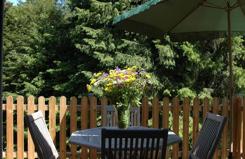 Egliseneuve-d'Entraigues Cottage | Very comfortable, quiet, cozy cottage, wifi, Sancy near Super Besse