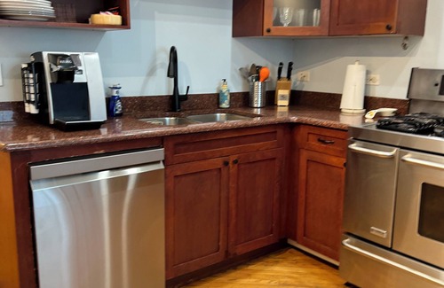 Irving Park Apartment | Very clean, cozy IRVING PARK & ELSTON FREE STREET PARKING