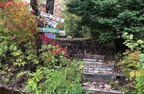 Petoskey Cabin | very private,adorable rustic cabin -out house , full shower house off barn