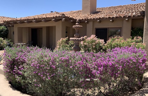 Happy Valley Ranch House | Very Private and Beautiful 3/3 hacienda resort style home in North Scottsdale