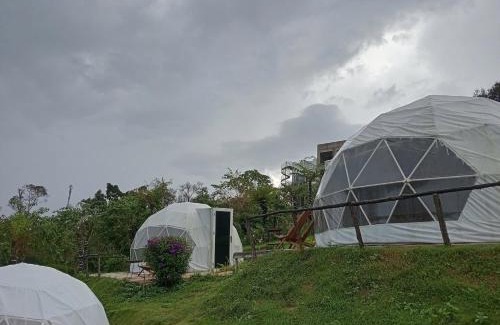 Kon Plong Hotel | Việt Úc Flower Garden
