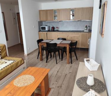 Dolny Kubin Apartment | Viazo Apartment