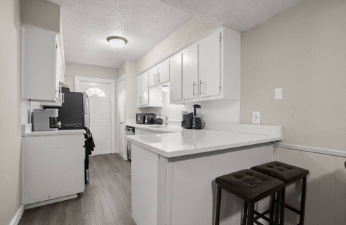 South Manchaca Apartment | Vibrant 1BR Apt 5 min to Downtown and Barton springs!