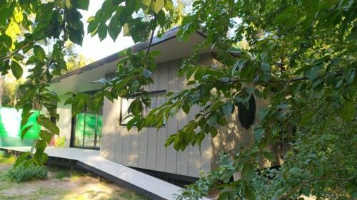 Necochea Cabin | Vida en el bosque
