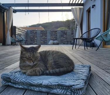 Bojnice Bed & Breakfast | VIGEO lounge b&b coffee