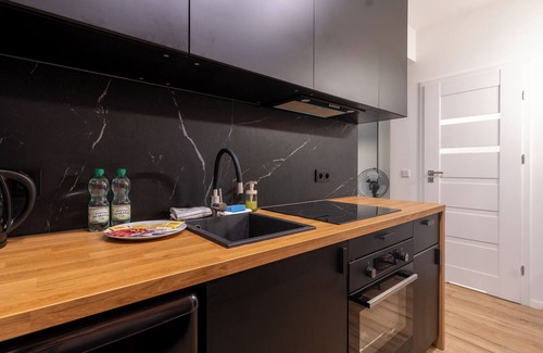 Katowice Apartment | Viktoria IV Charming Apartament