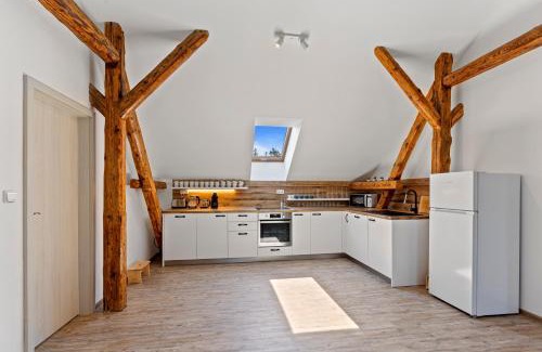 Nove Hrady Apartment | Vila Antik