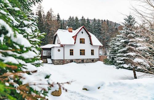 Loucna nad Desnou Apartment | Vila Kouty