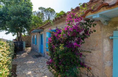 Tar-Vabriga House | Vila Majda