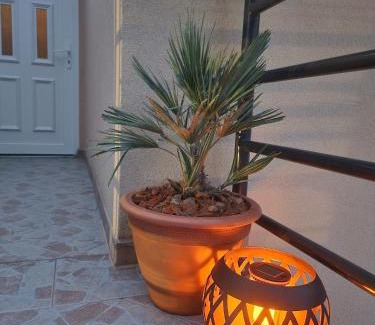 Kampor Apartment | Vila Marija