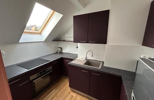 Tatranska Lomnica Apartment | Vilka Aurora