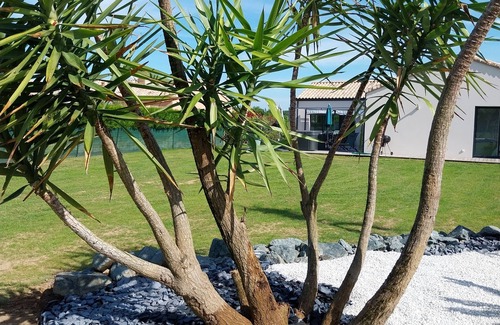 Saint-Vincent-sur-Jard Villa | Villa 10/12 p. SWIMMING POOL, SPA & PRIVATE SAUNA 2 kms from the beach, marshes, forests