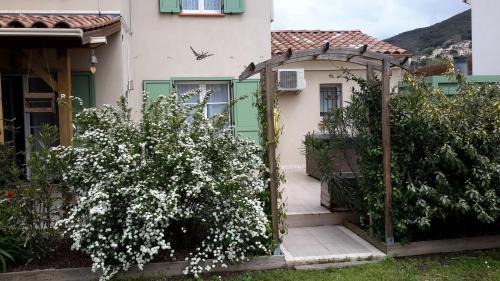 Patrimonio Bed & Breakfast | Villa Aghjanella