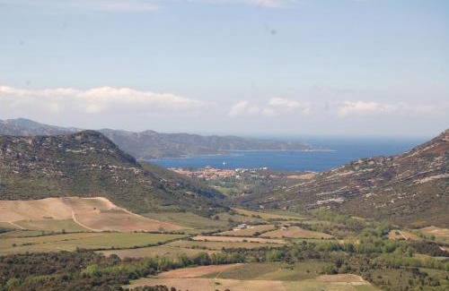 Patrimonio Bed & Breakfast | Villa Aghjanella