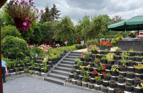 Siedlce Bed & Breakfast | Villa Aida pokoje gościnne