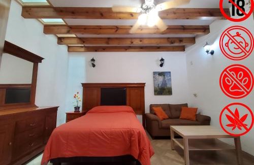 Del Carmen Bed & Breakfast | Villa Alfonsina