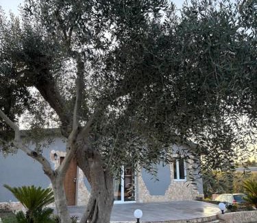 Matera House | Villa Antezza