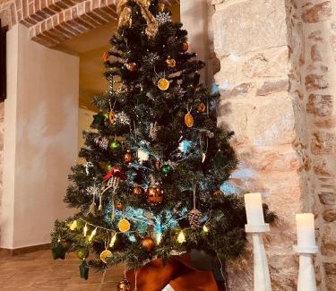 Crikvenica Villa | Villa Bell Aria