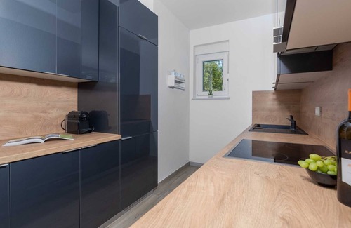 Milohnici Villa | Villa Bella Vista B - contemporary villa with a private pool near a beach