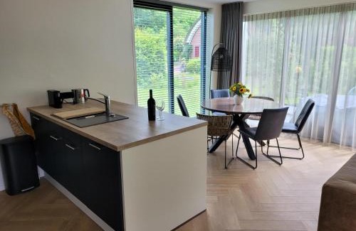 Gasselte Villa | Villa Bosanemoon met Sauna | 6 personen - Vakantiepark De Kremmer