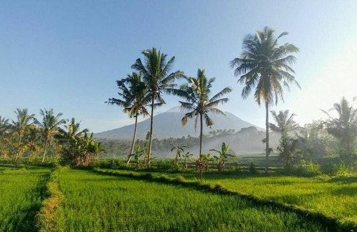 Selat Villa | Villa Bukit Temawang Near Sidemen and Mount Agung