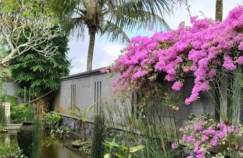 Selat Villa | Villa Bukit Temawang Near Sidemen and Mount Agung
