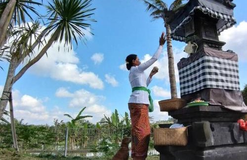 Selat Villa | Villa Bukit Temawang Near Sidemen and Mount Agung