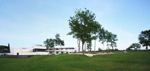 Dajla Villa | Villa Calvia Crispinilla