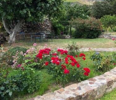 Galeria Bed & Breakfast | Villa Capraghjese