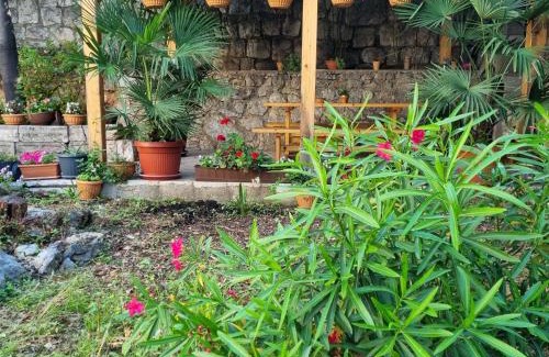 Rijeka Apartment | Villa Carolina