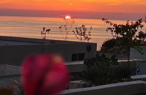 Jala Villa | Villa Champagne Green Coast Palase