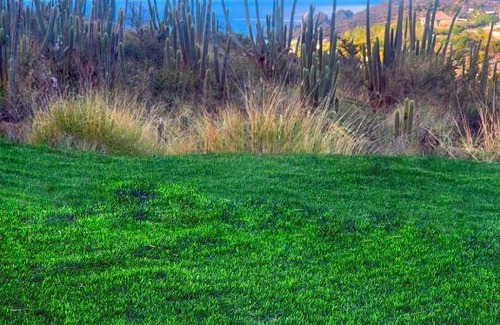 Petit Cul De Sac Beach Villa | Villa Coco Rock