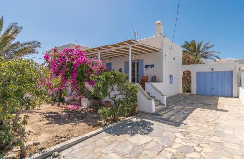 Apollonia Villa | Villa Contessina V