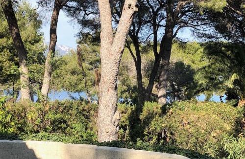 Cap-Ferrat Villa | Villa de Charme au coeur du Cap-Ferrat