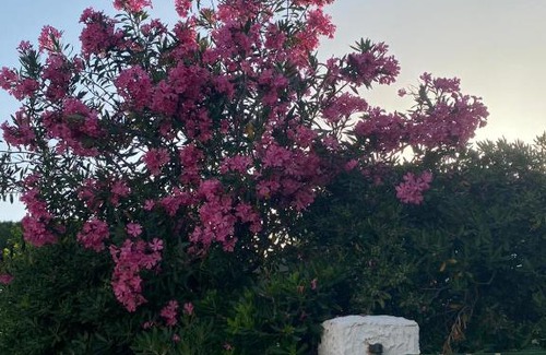 Paestum House | Villa dei Gelsomini