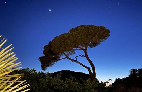 Bellegarde Villa | Villa des Antonins