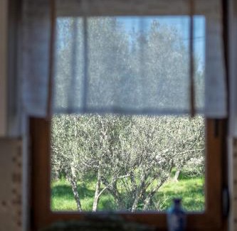 Milohnici Villa | Villa Dijana West