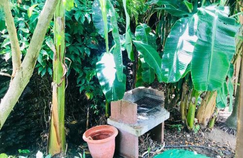 Terre-de-Haut House | Villa Figues et Mangos