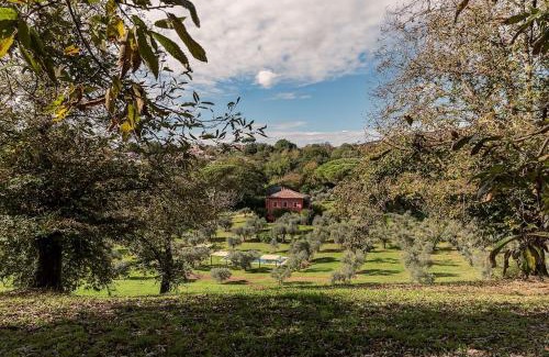 Poggio Apartment | Villa Flavia