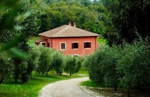 Poggio Apartment | Villa Flavia