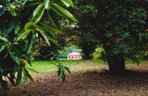 Poggio Apartment | Villa Flavia